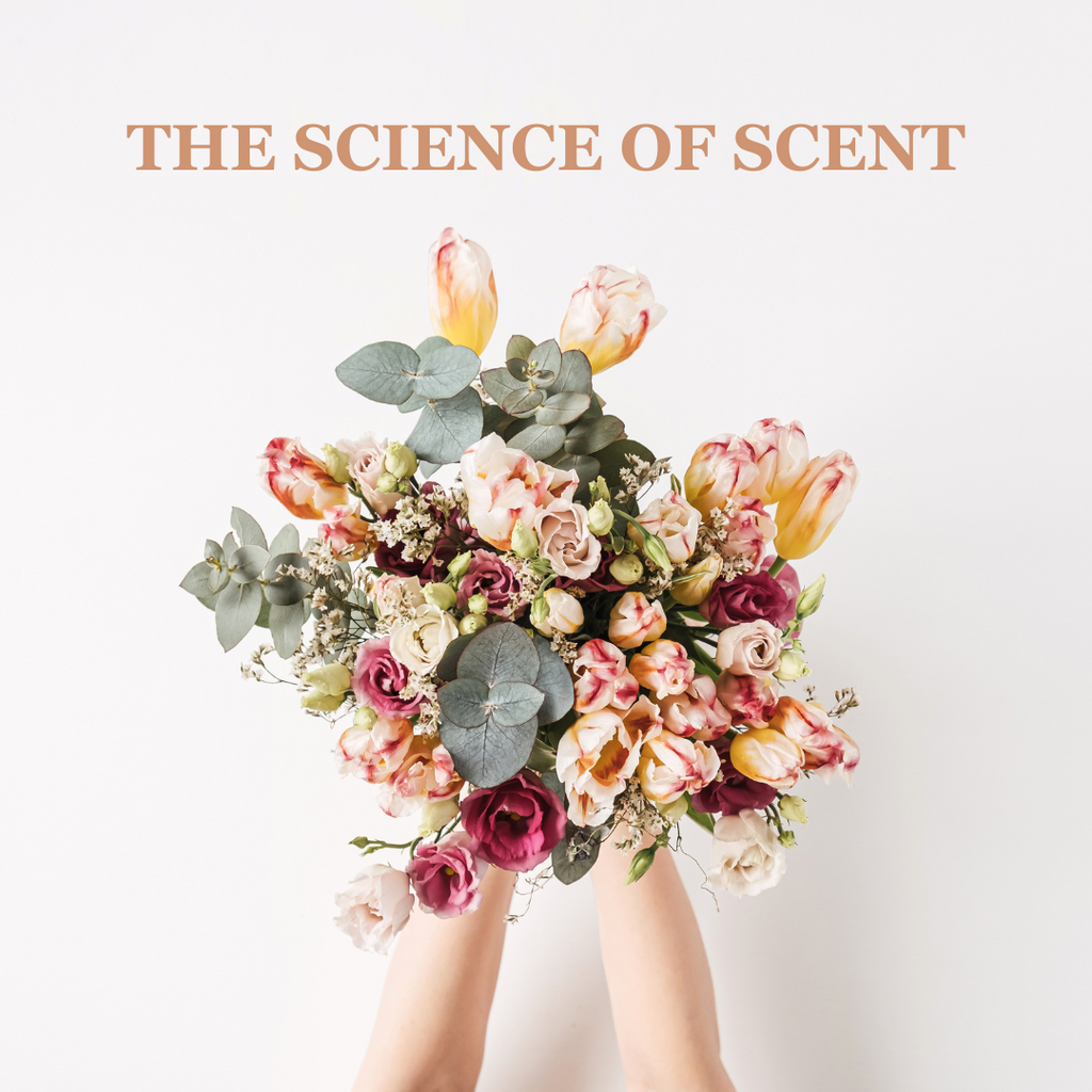 The Science of Scent: Candles Can Transform Your Mood